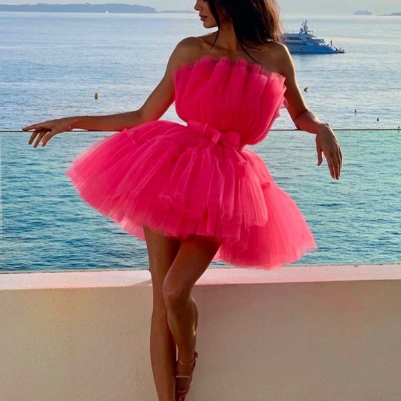 H&M X GIAMBATTISTA VALLI Hot Pink Tulle Dress - Picture 10 of 11